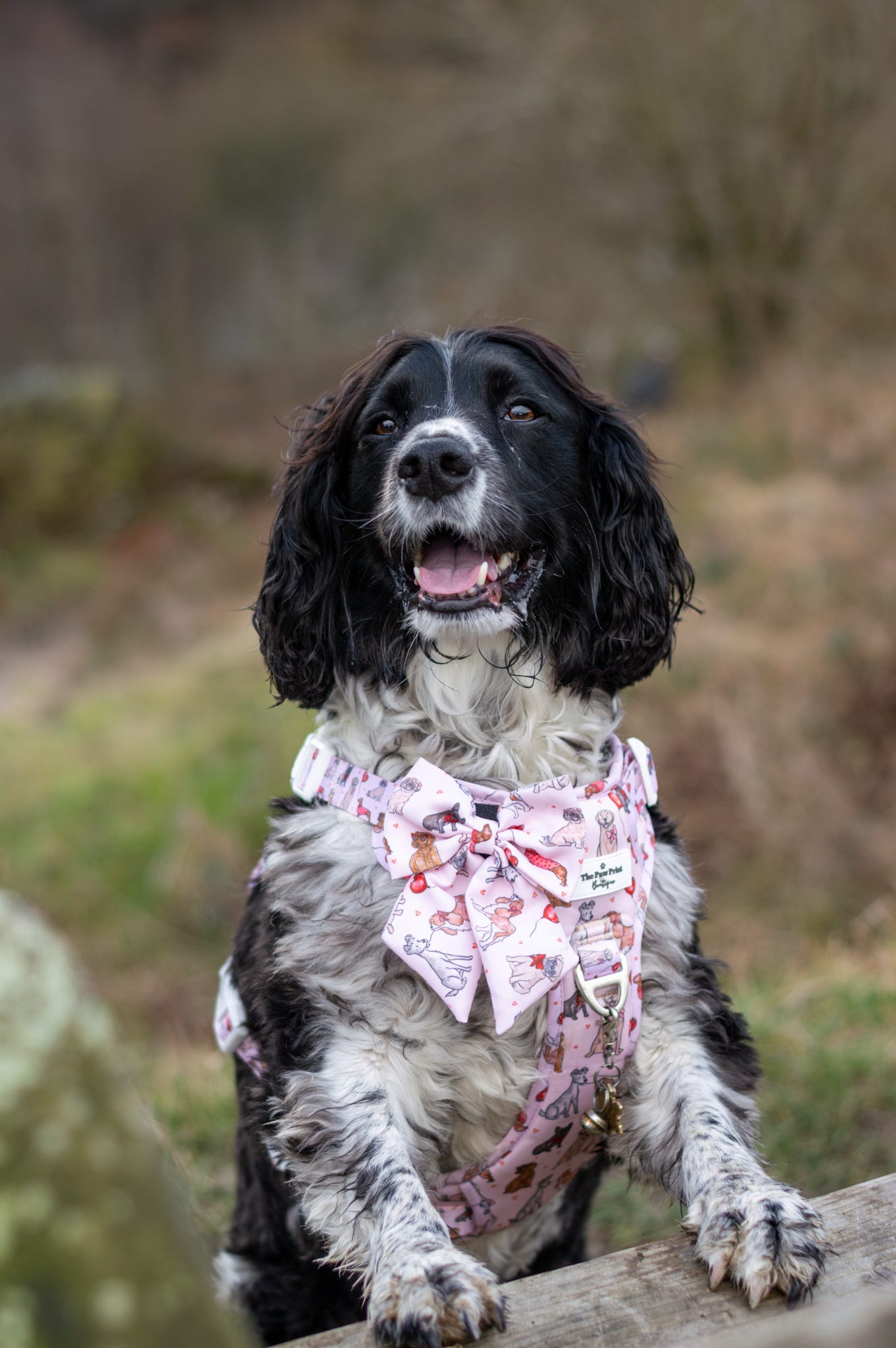 The Puppy Love Adventure Paws Harness