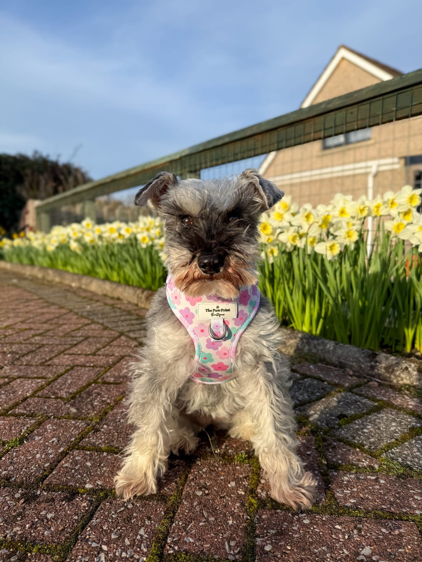 The Flower Power Adjustable Harness