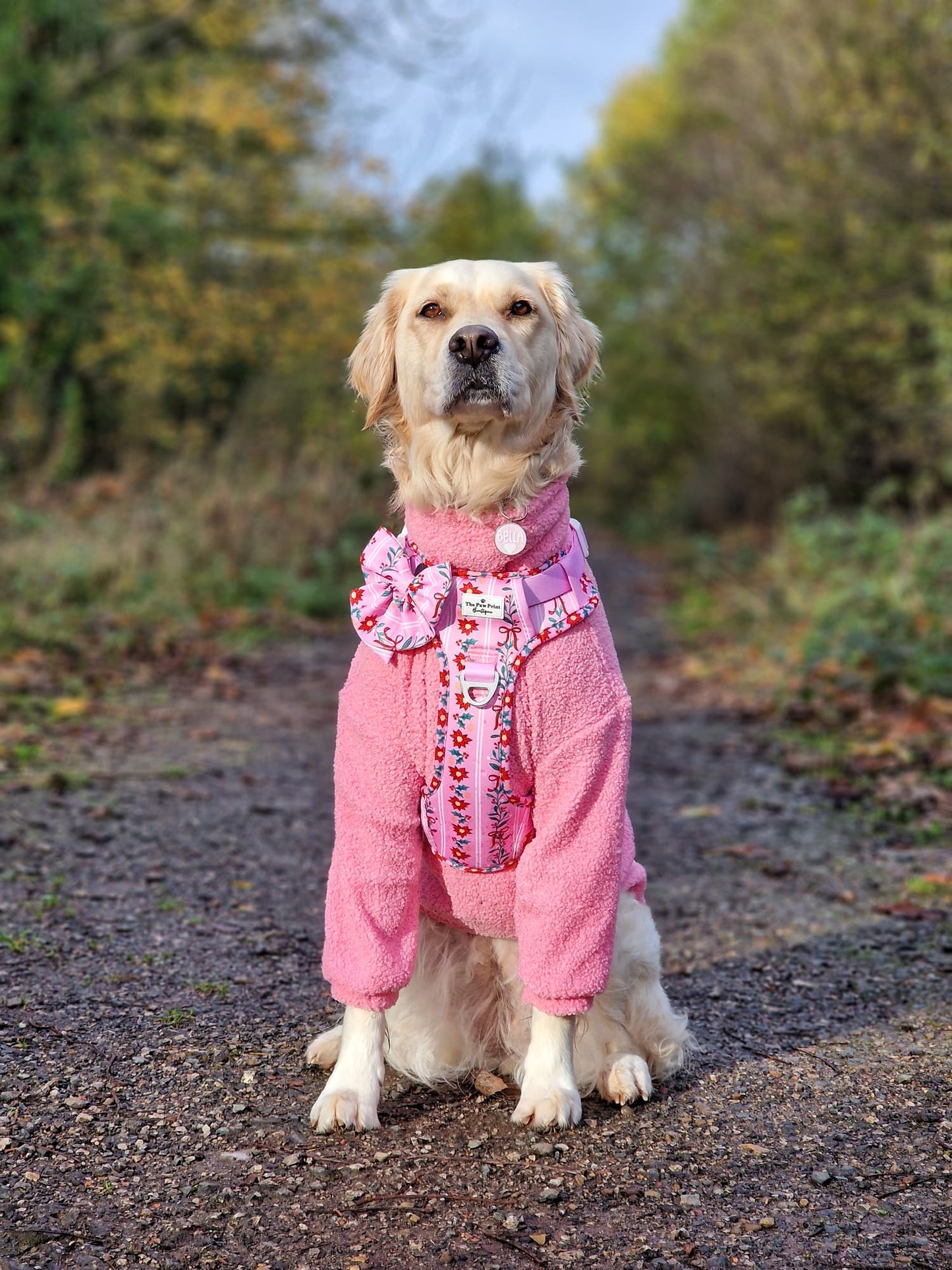 Teddy Fleece - Candy Floss