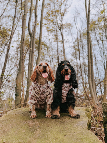 The Little Bear Cub Adventure Paws Harness