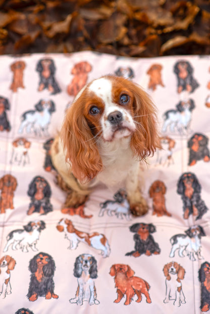 The Cavalier Travel Mat