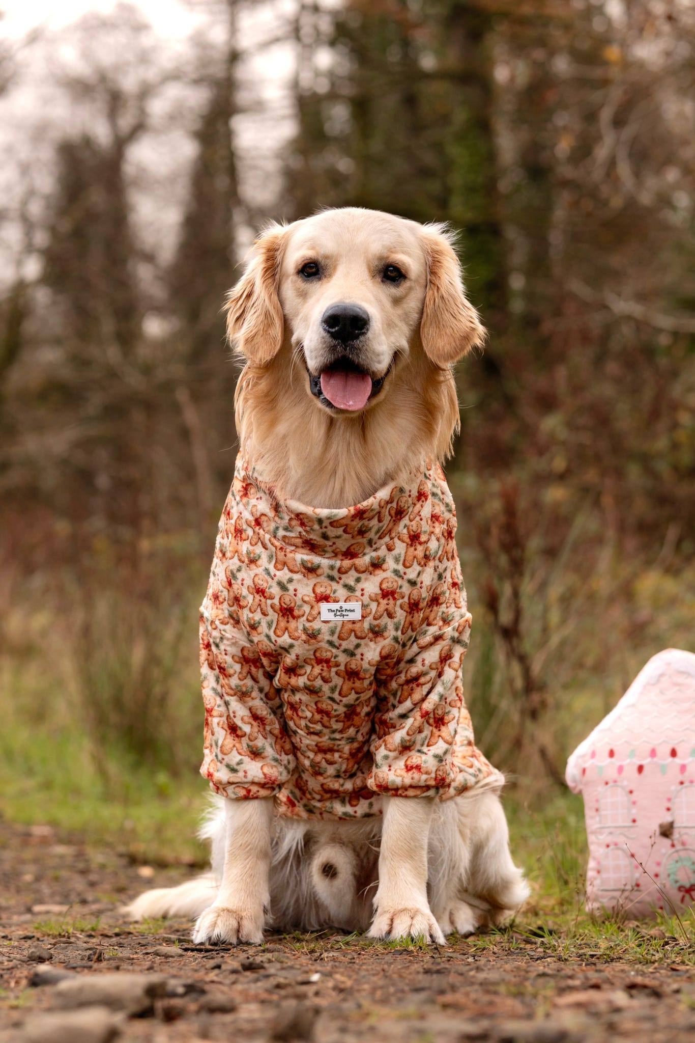 Gingerbread Grove Snuggle Fleece