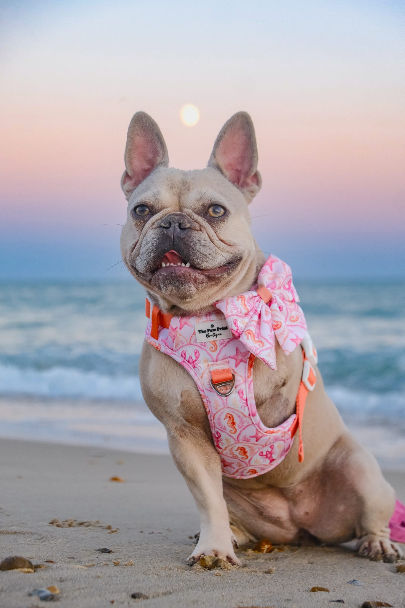Under the Sea Bow Tie
