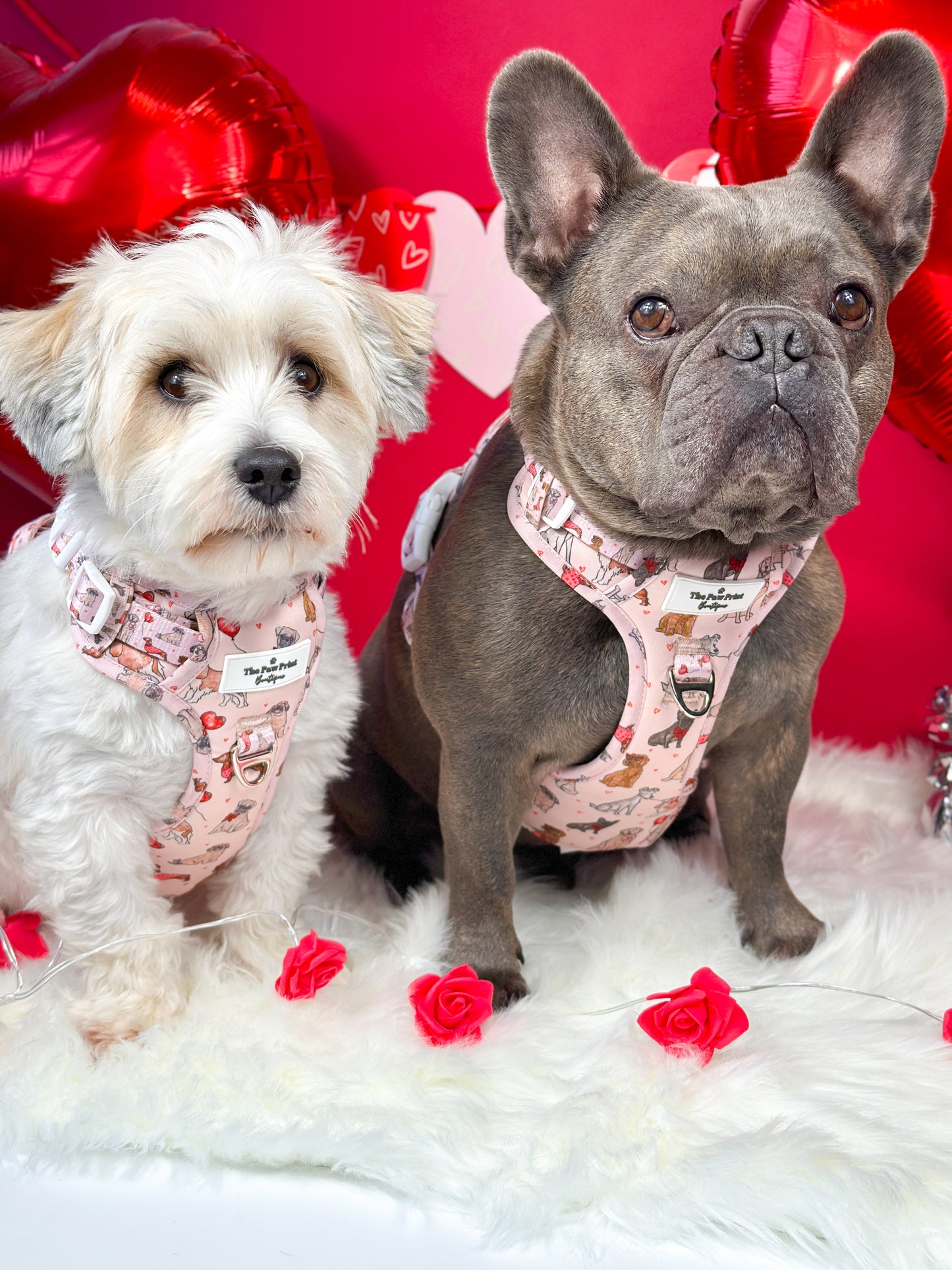 The Puppy Love Adventure Paws Harness