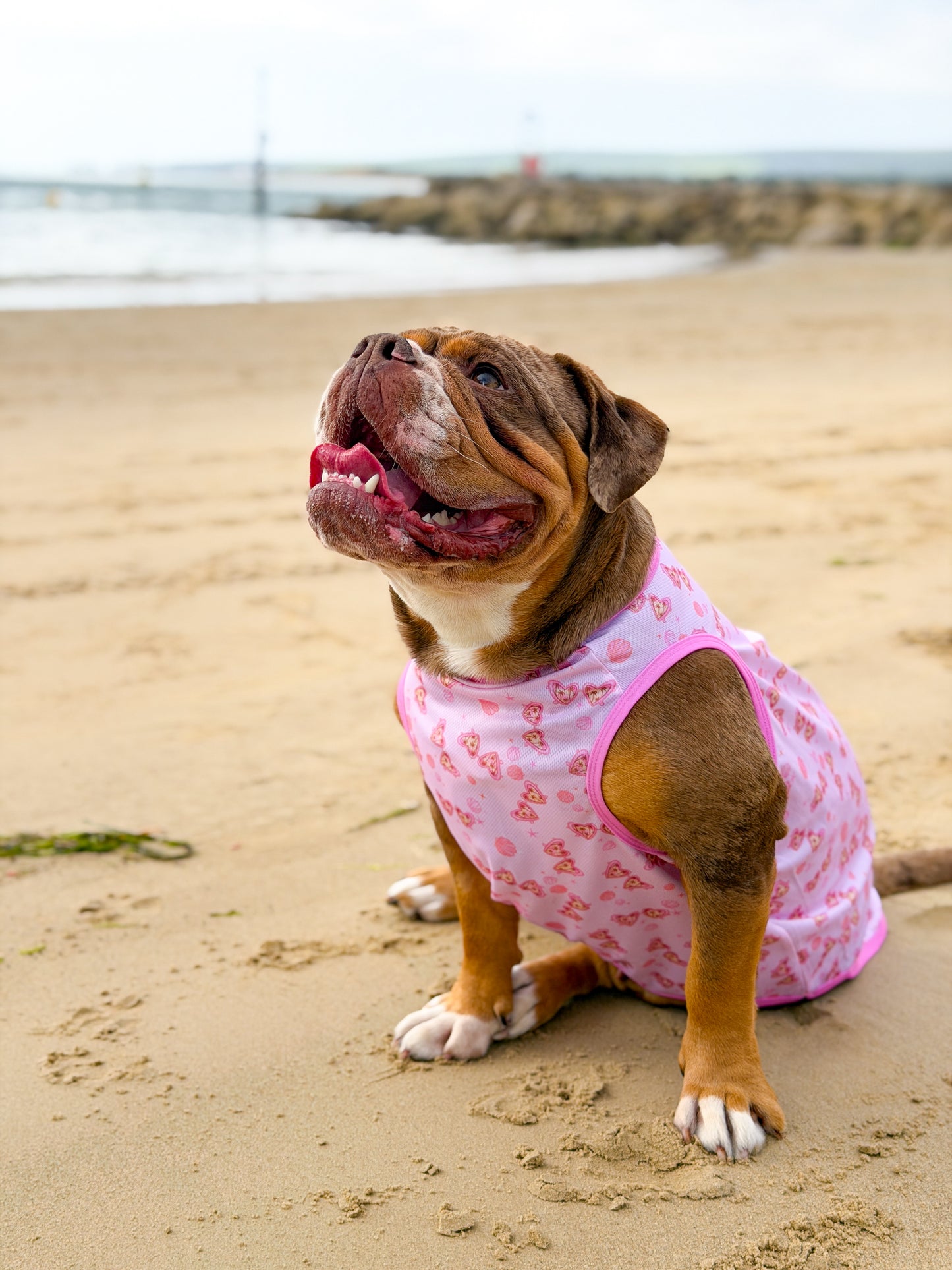 Pink Sunglasses Cooling Vest