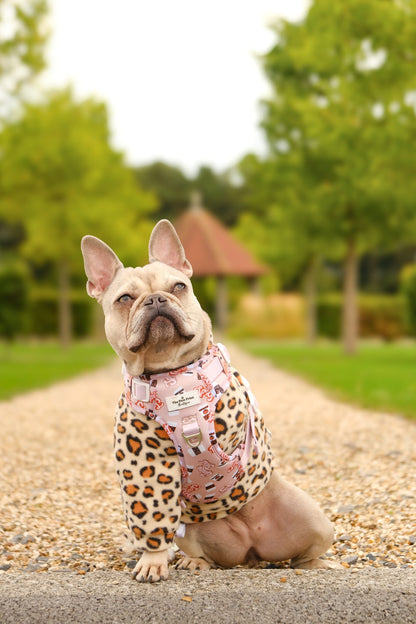Spice Girl Adventure Paws Harness