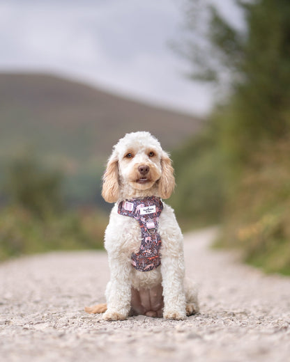 Woodland Wilderness Adventure Paws Harness