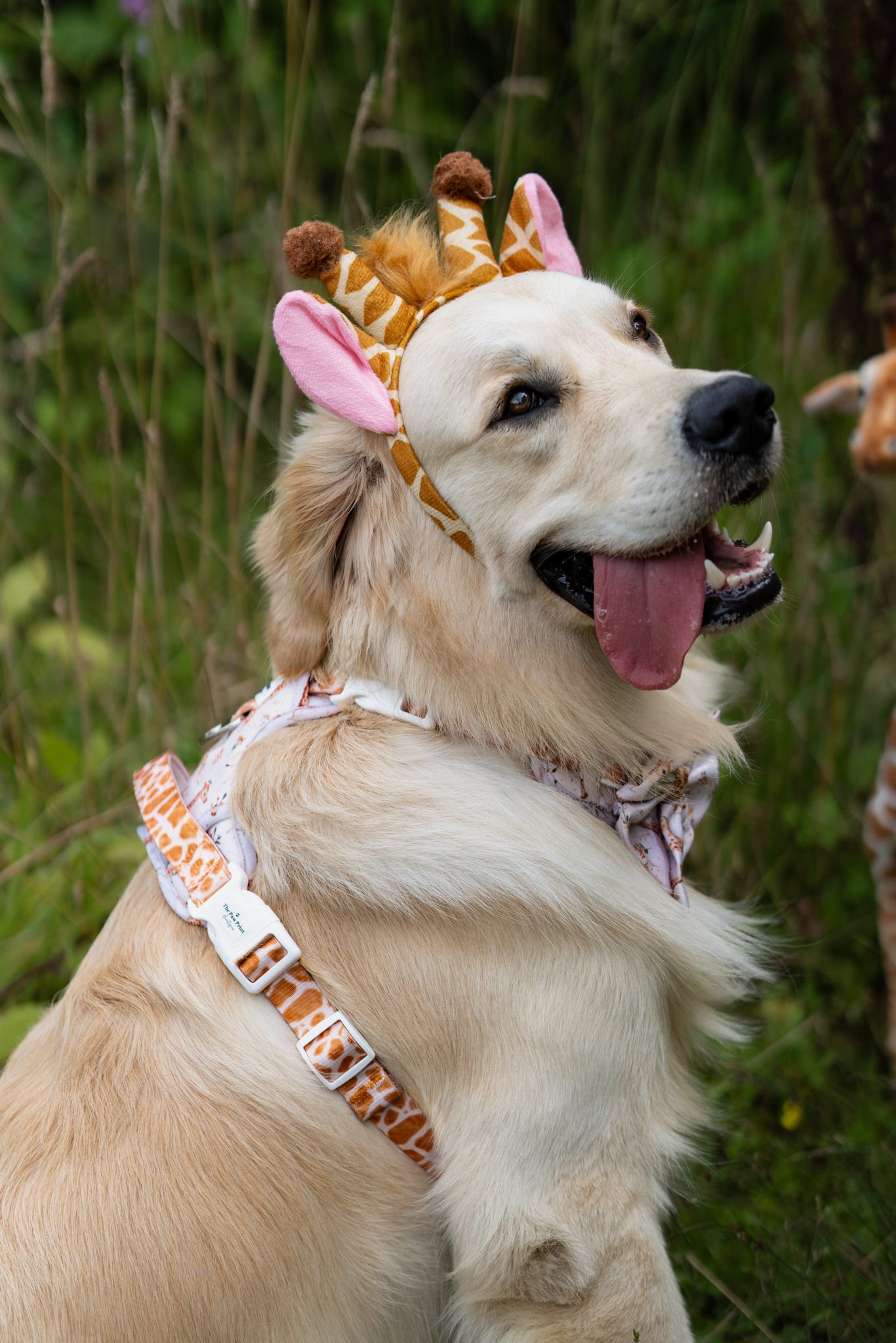 The Graceful Giraffe Adventure Paws Harness