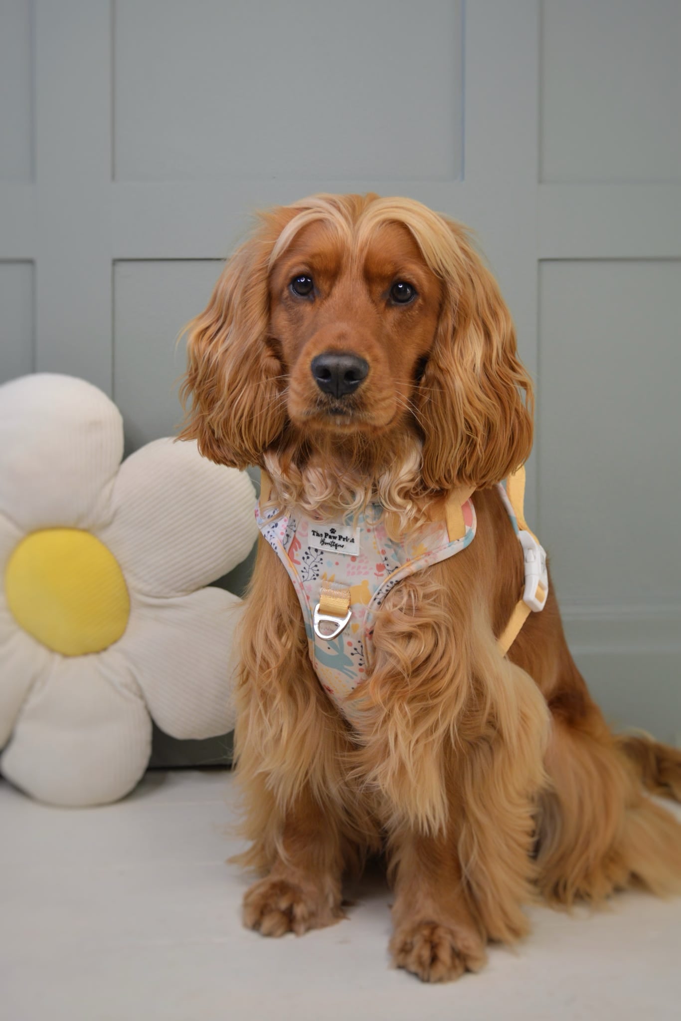 Hop into Bloom Adventure Paws Harness