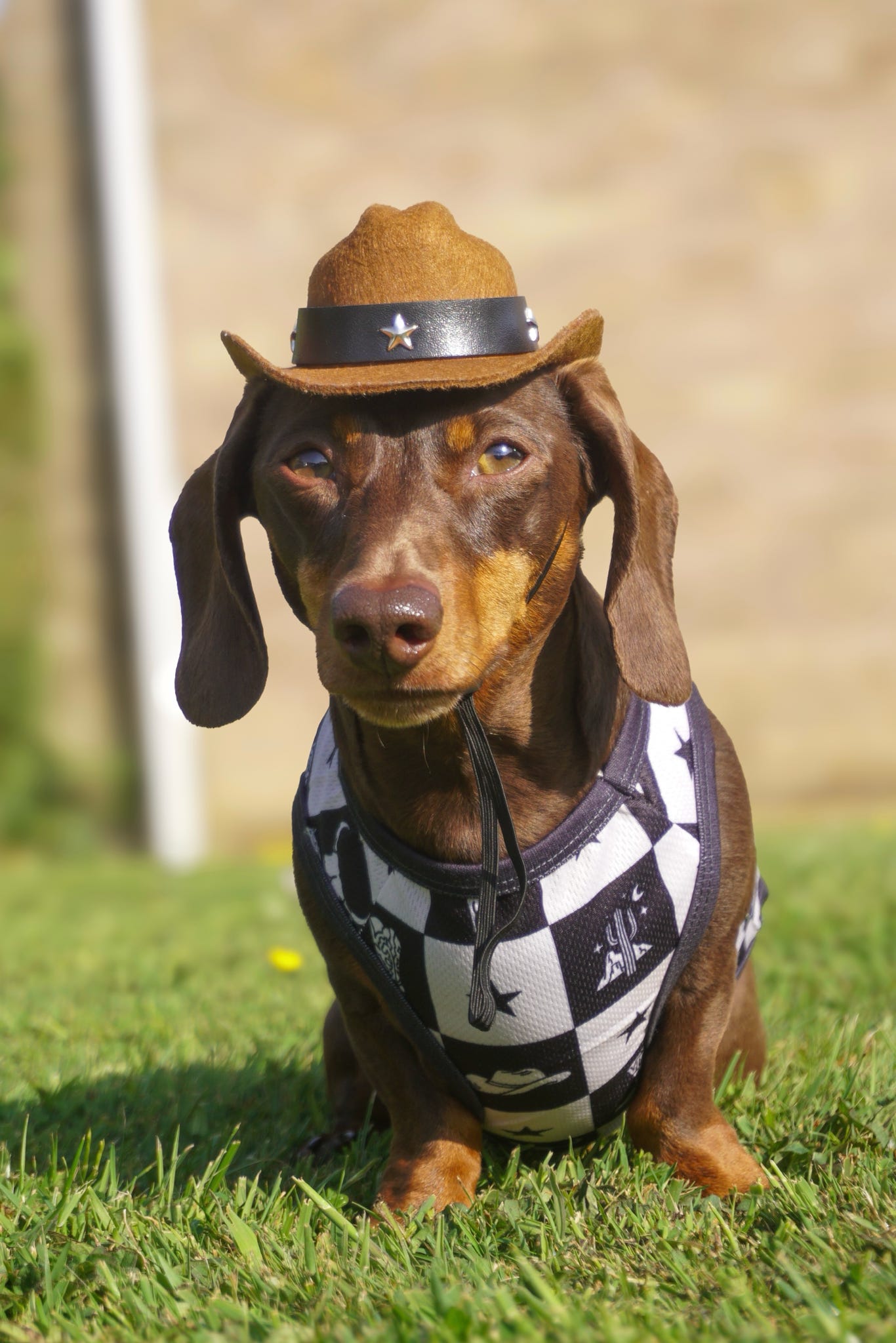 The Wild West Cooling Vest