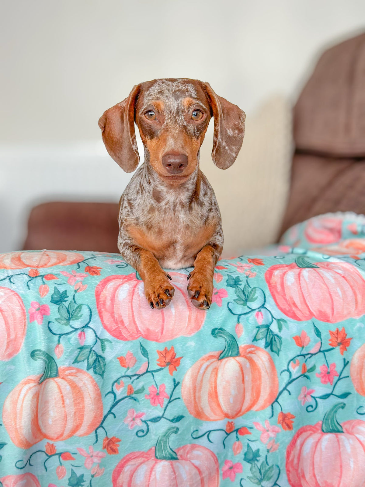 Pablos Pumpkins Dog Blanket