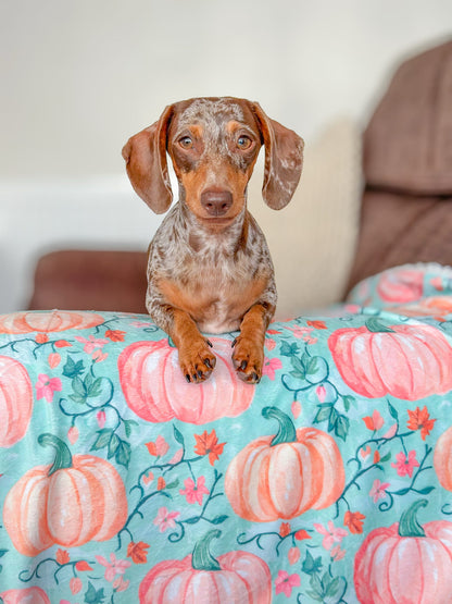 Pablos Pumpkins Dog Blanket