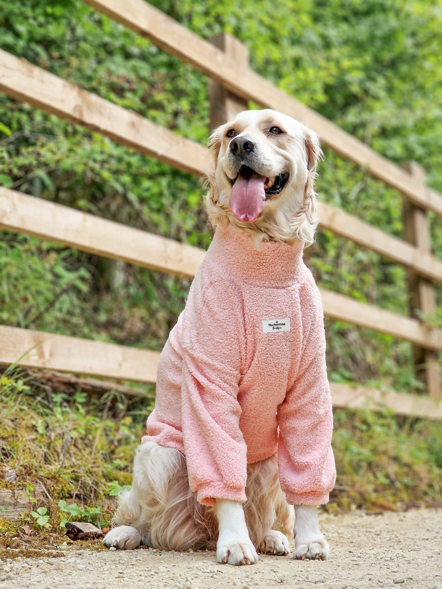 The Baby Pink Teddy Fleece