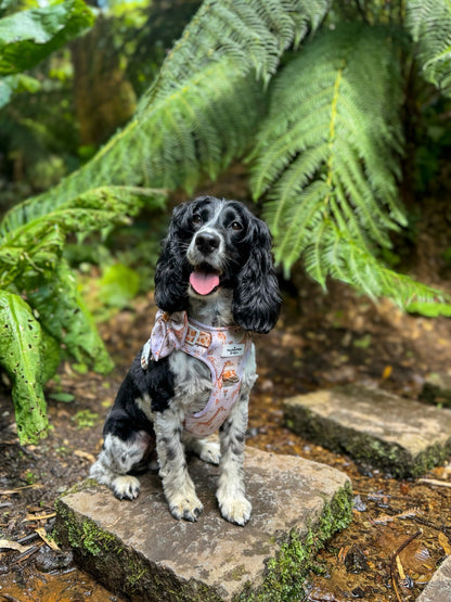 The Graceful Giraffe Adventure Paws Harness