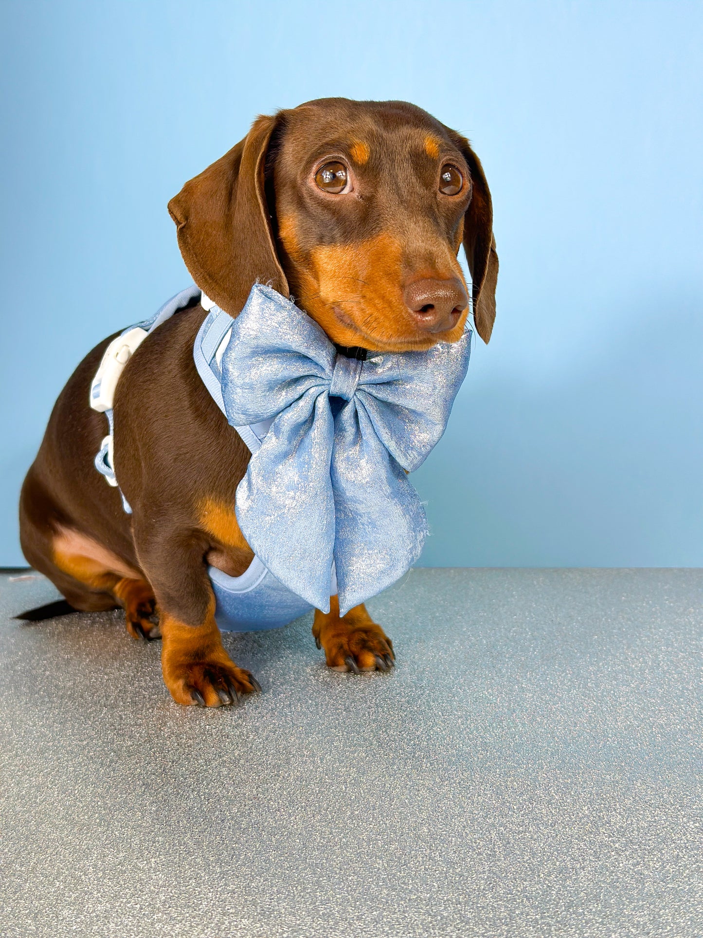 The Ocean Blue Bow Tie