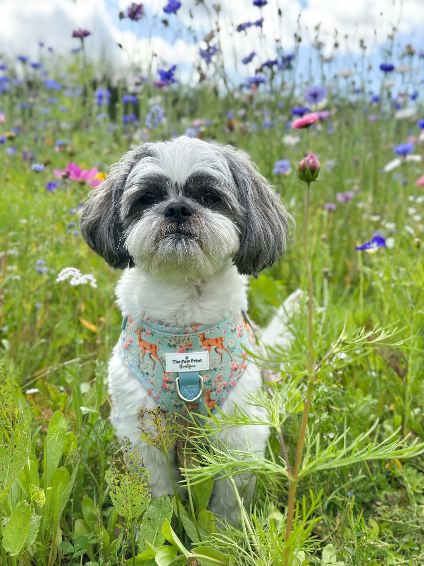 Bambi in Bloom Adjustable Harness