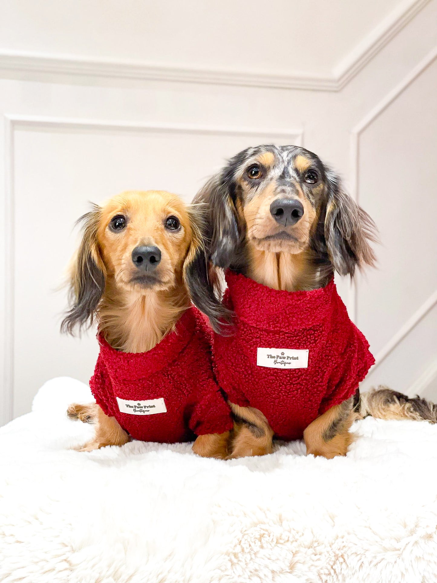 The Mulberry Teddy Fleece