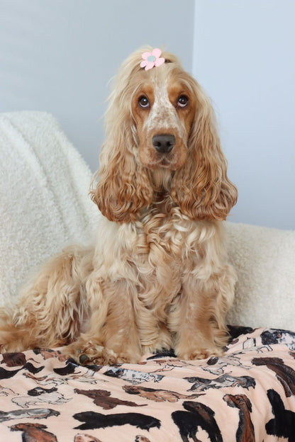 The Spaniel Dog Blanket