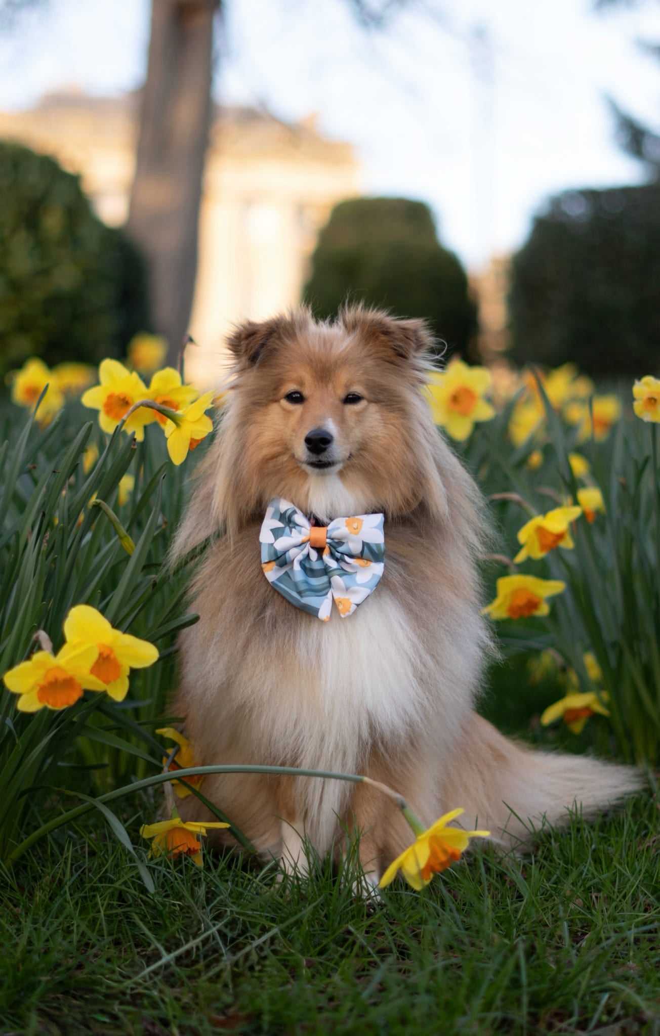 Daffodil Daze Bow Tie