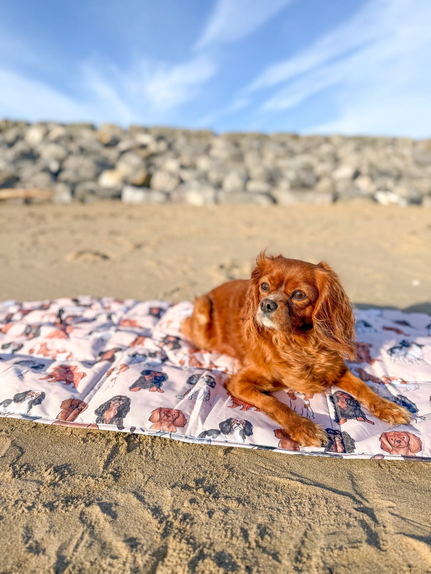The Cavalier Travel Mat