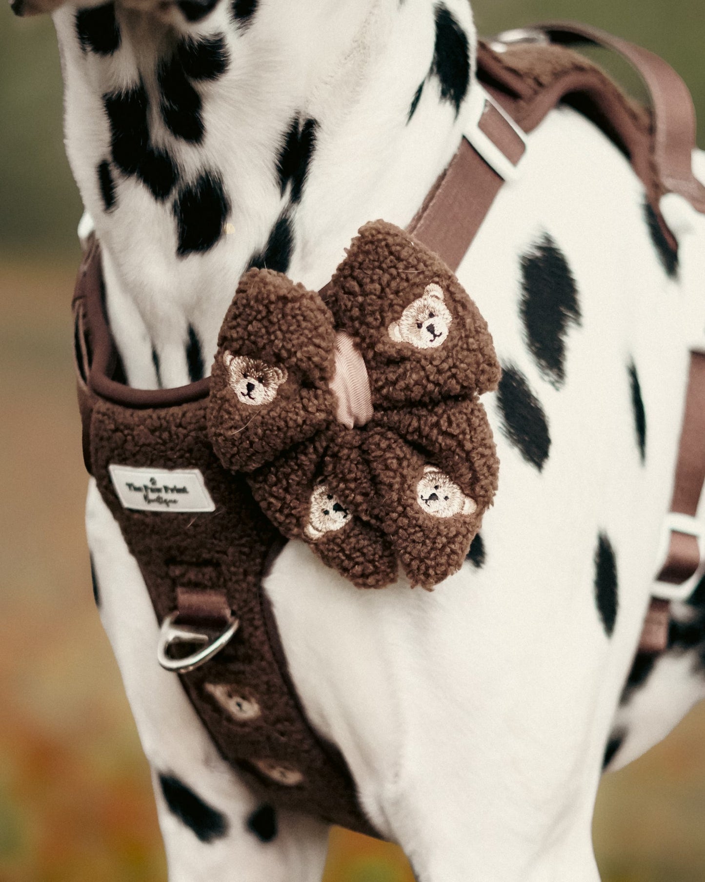The Embroidered Little Bear Cub Adventure Paws Harness