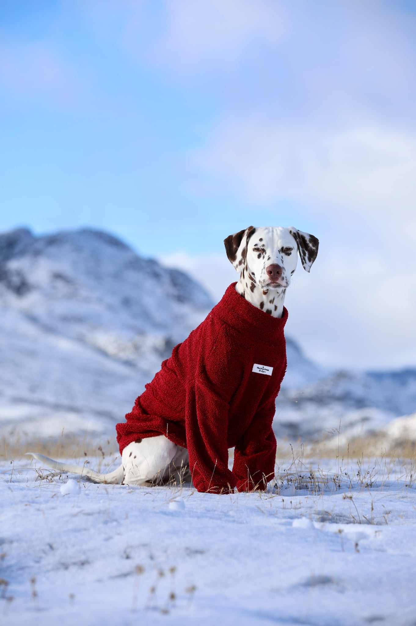 The Mulberry Teddy Fleece