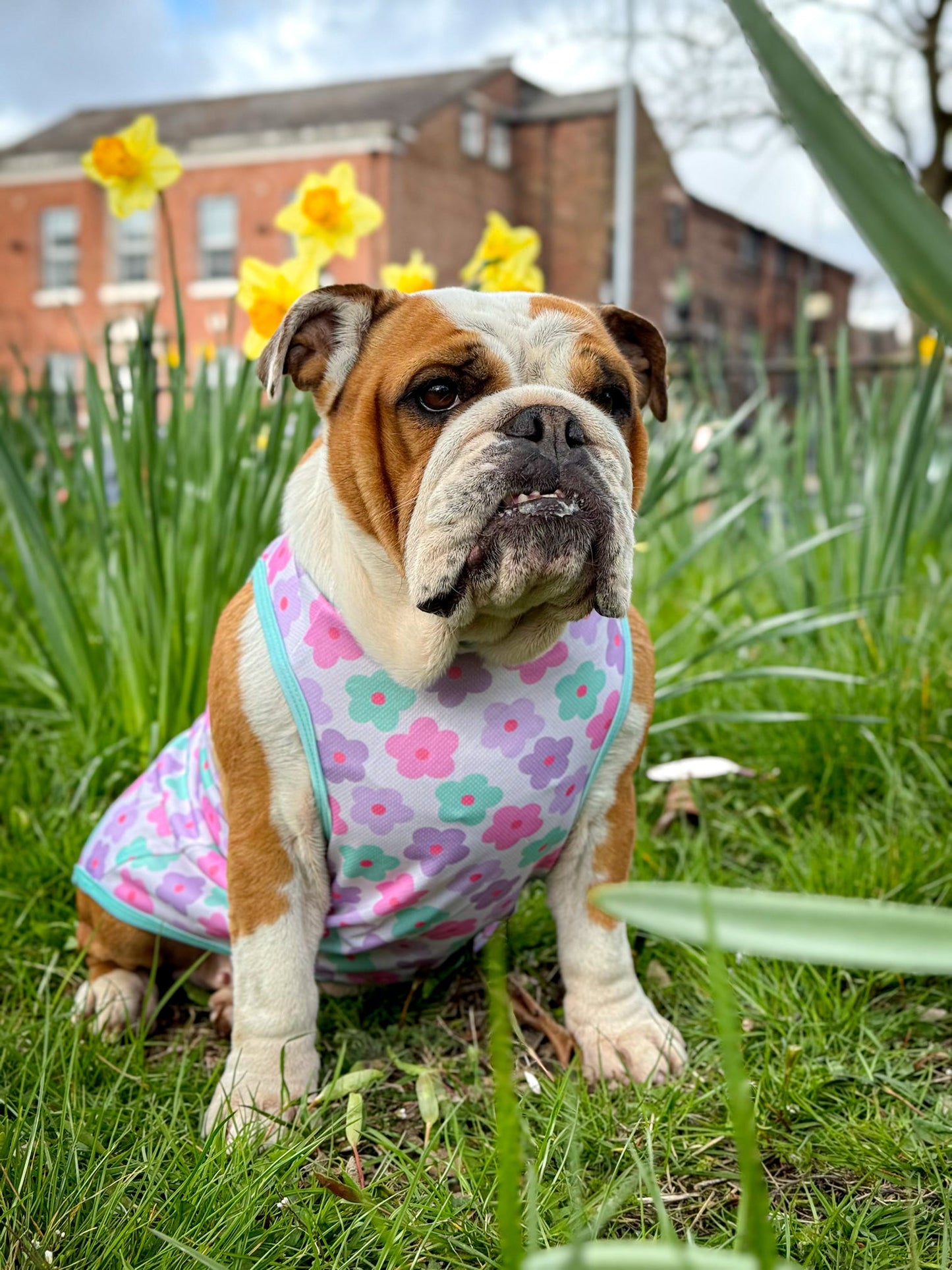The Minty Meadows / Flower Power Cooling Vest