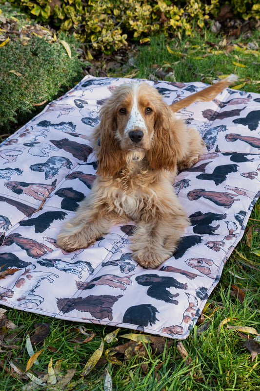 The Spaniel Travel Mat
