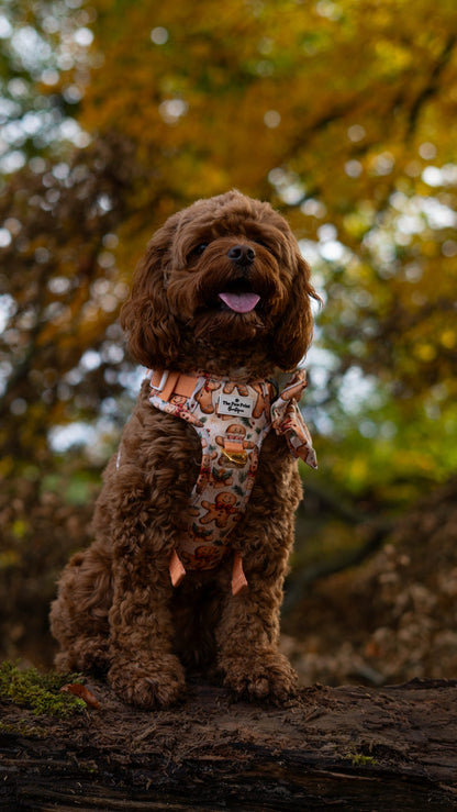 Gingerbread Grove Adventure Paws Harness