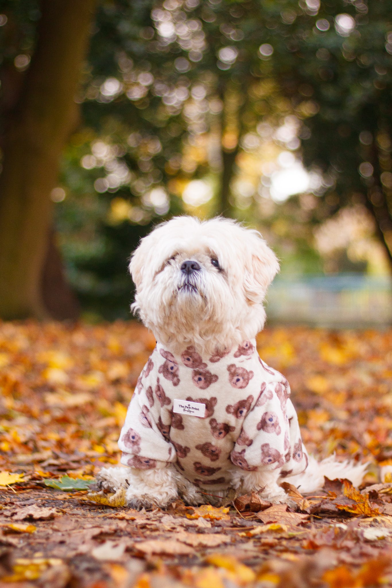 Little Bear Cub Snuggle Fleece