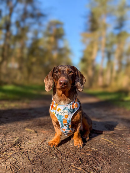 Daffodil Daze Adventure Paws Harness
