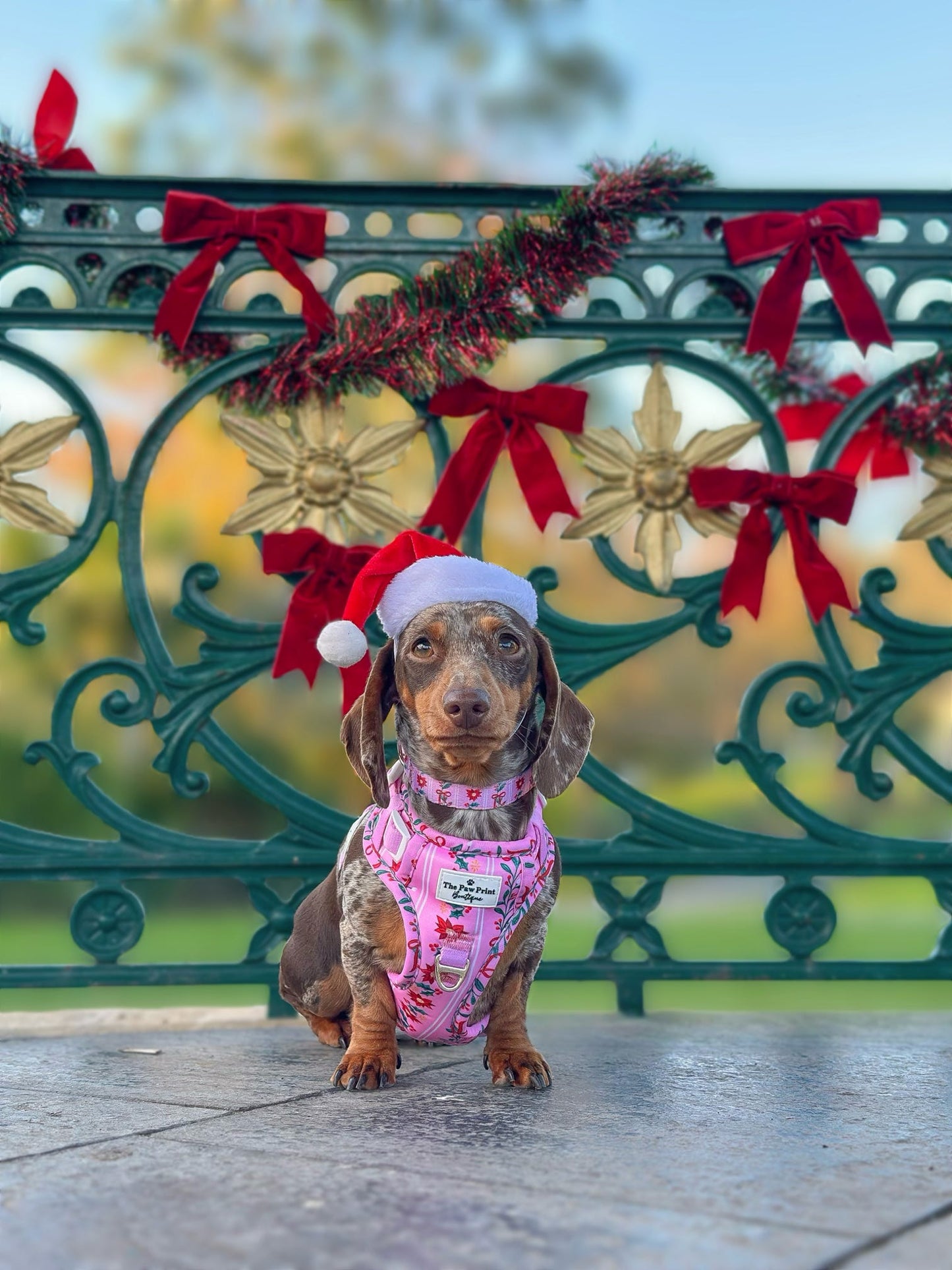 Merry Pinkmas Adventure Paws Harness