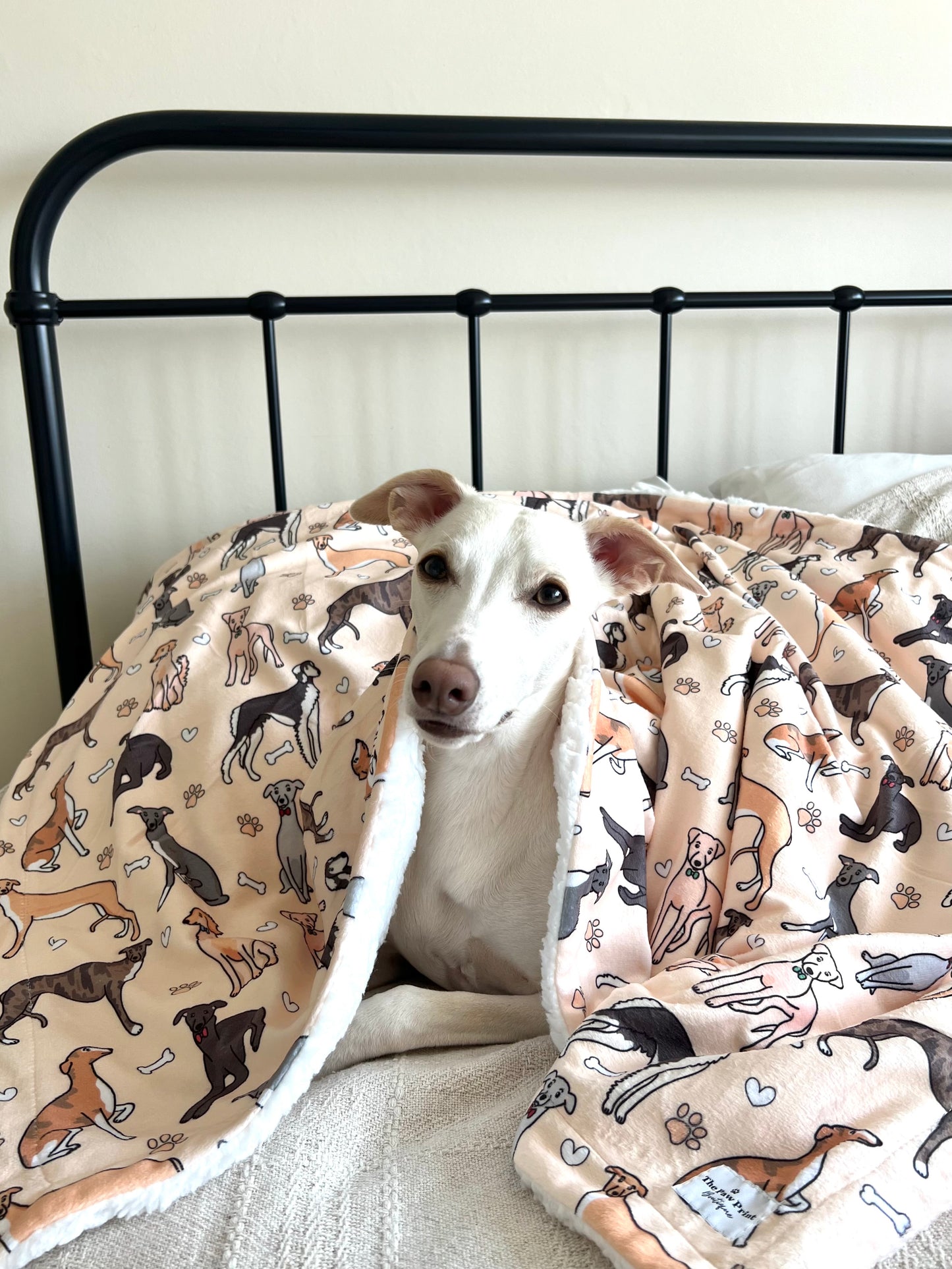 The Sighthound Dog Blanket - Beige