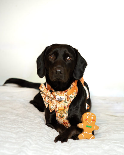 Gingerbread Grove Adventure Paws Harness