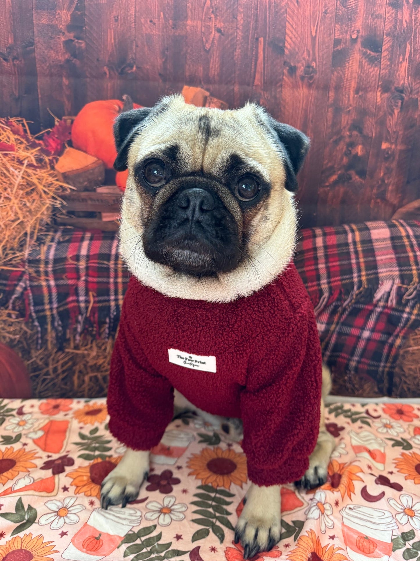 The Mulberry Teddy Fleece