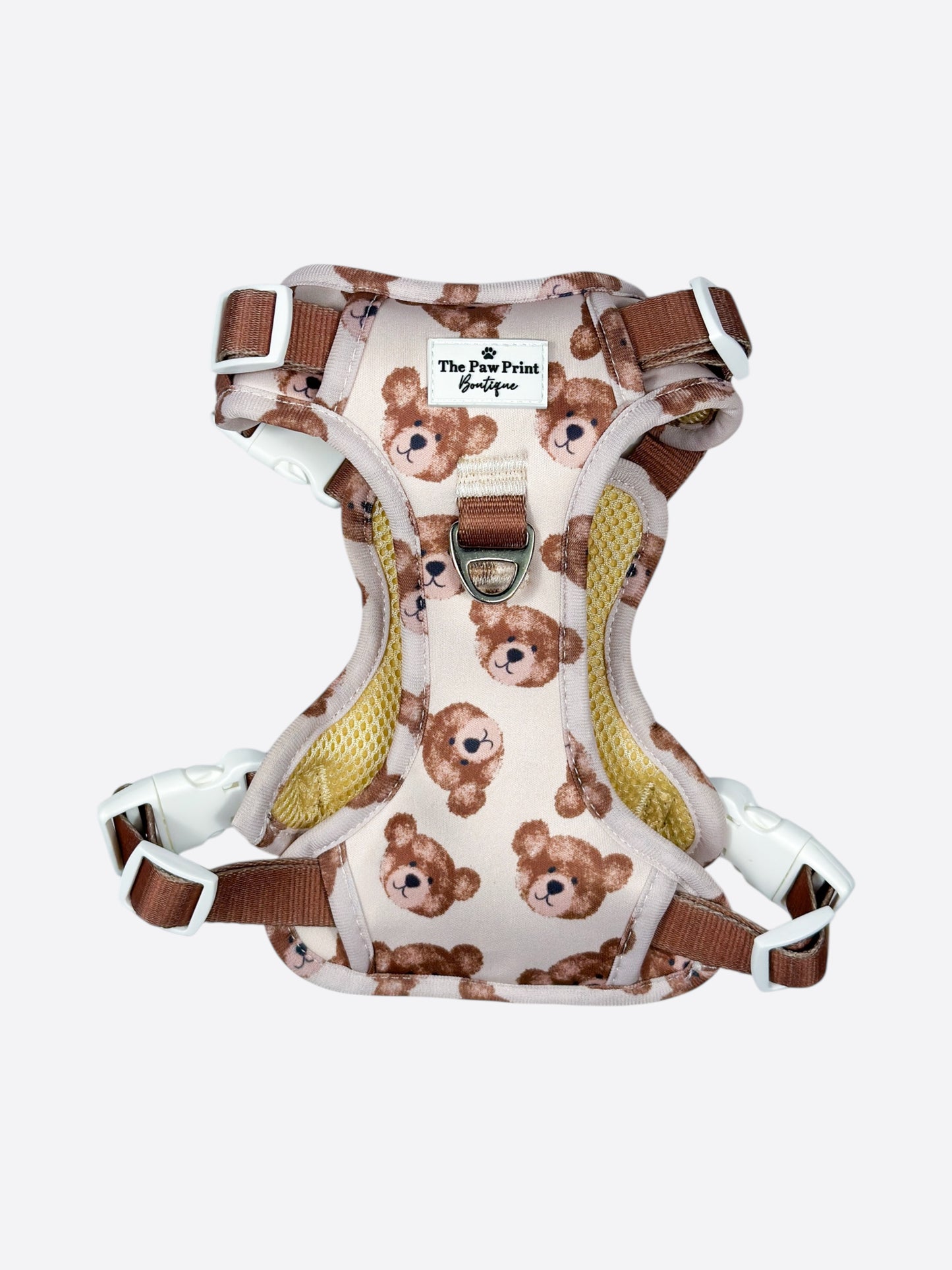 The Little Bear Cub Adventure Paws Harness