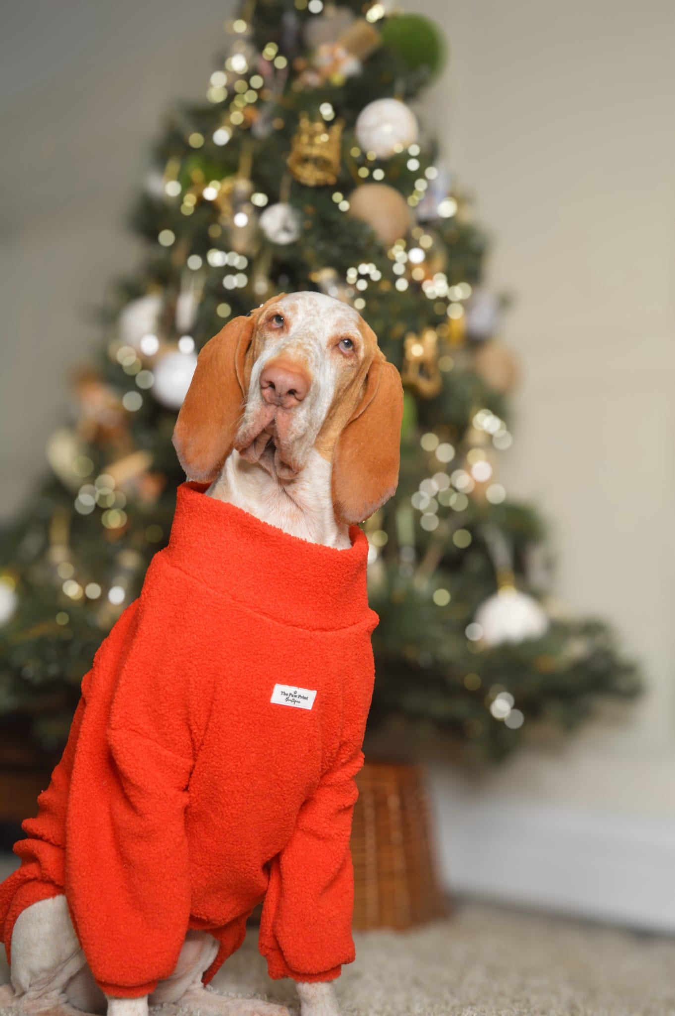 Teddy Fleece - Red Berry