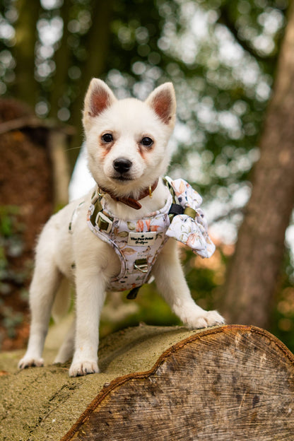 Whimsical Wildlife Adventure Paws Harness