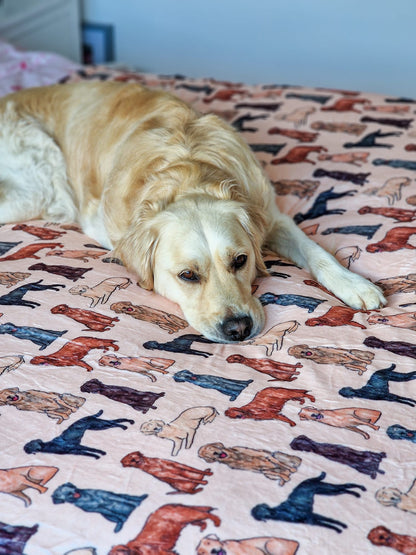 The Labrador / Retriever Human Blanket