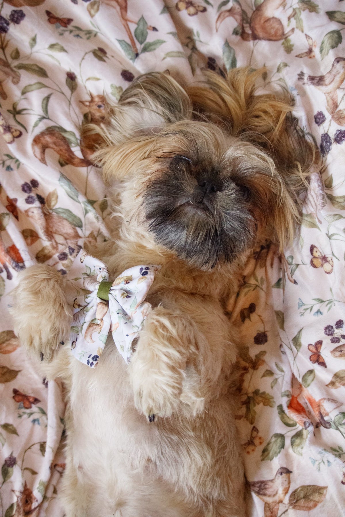 Whimsical Wildlife Bow Tie