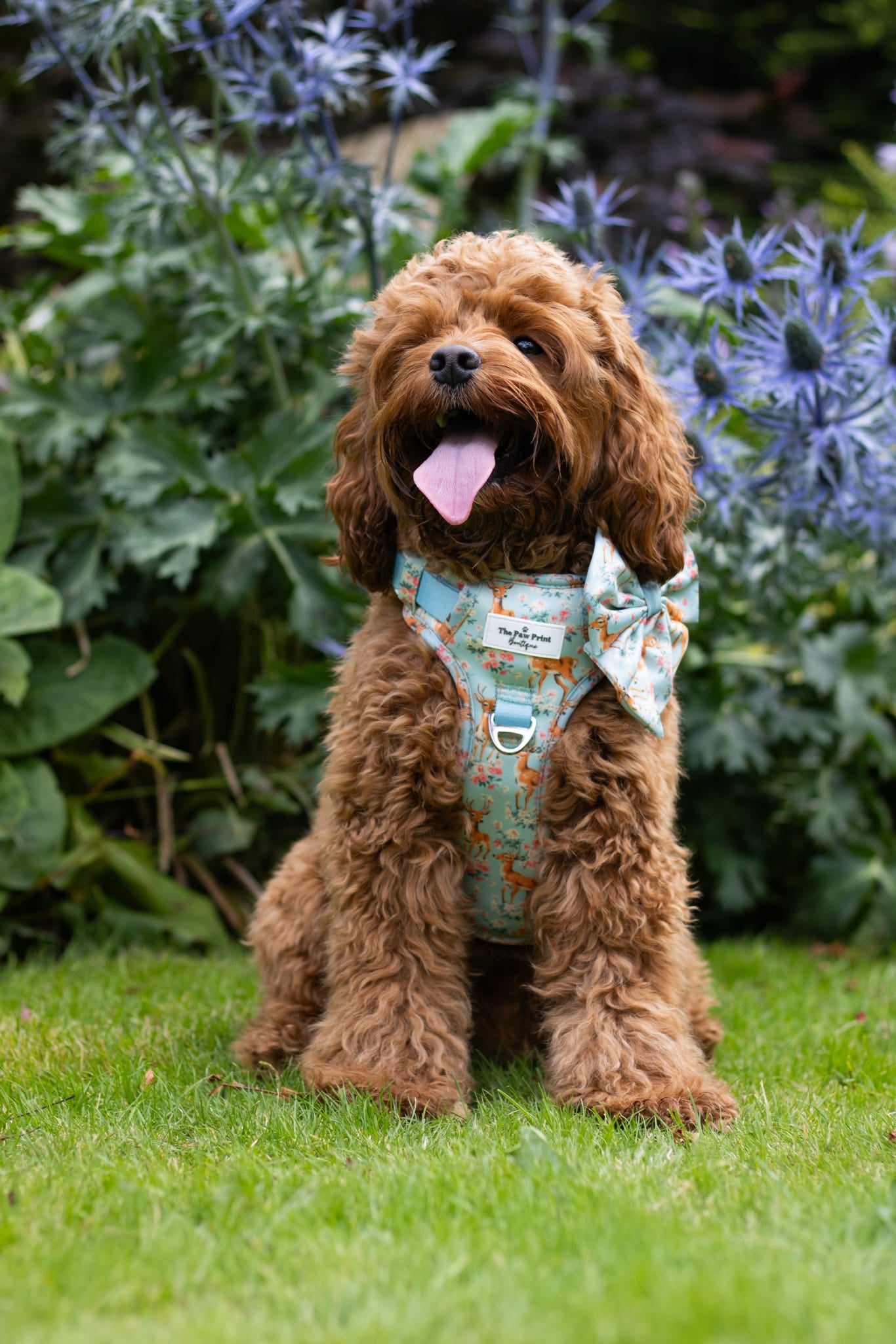 Bambi in Bloom Adventure Paws Harness