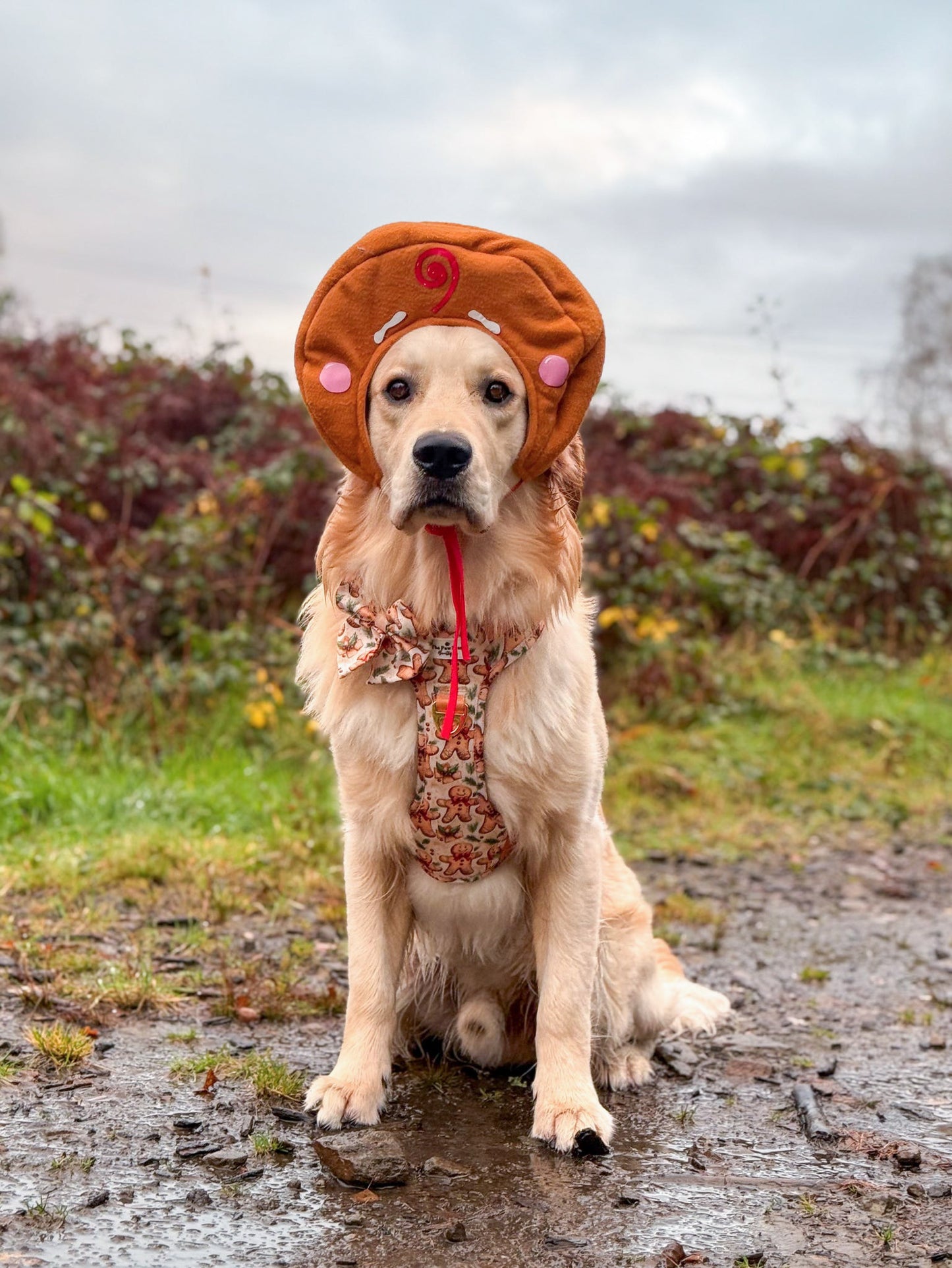 Gingerbread Grove Adventure Paws Harness