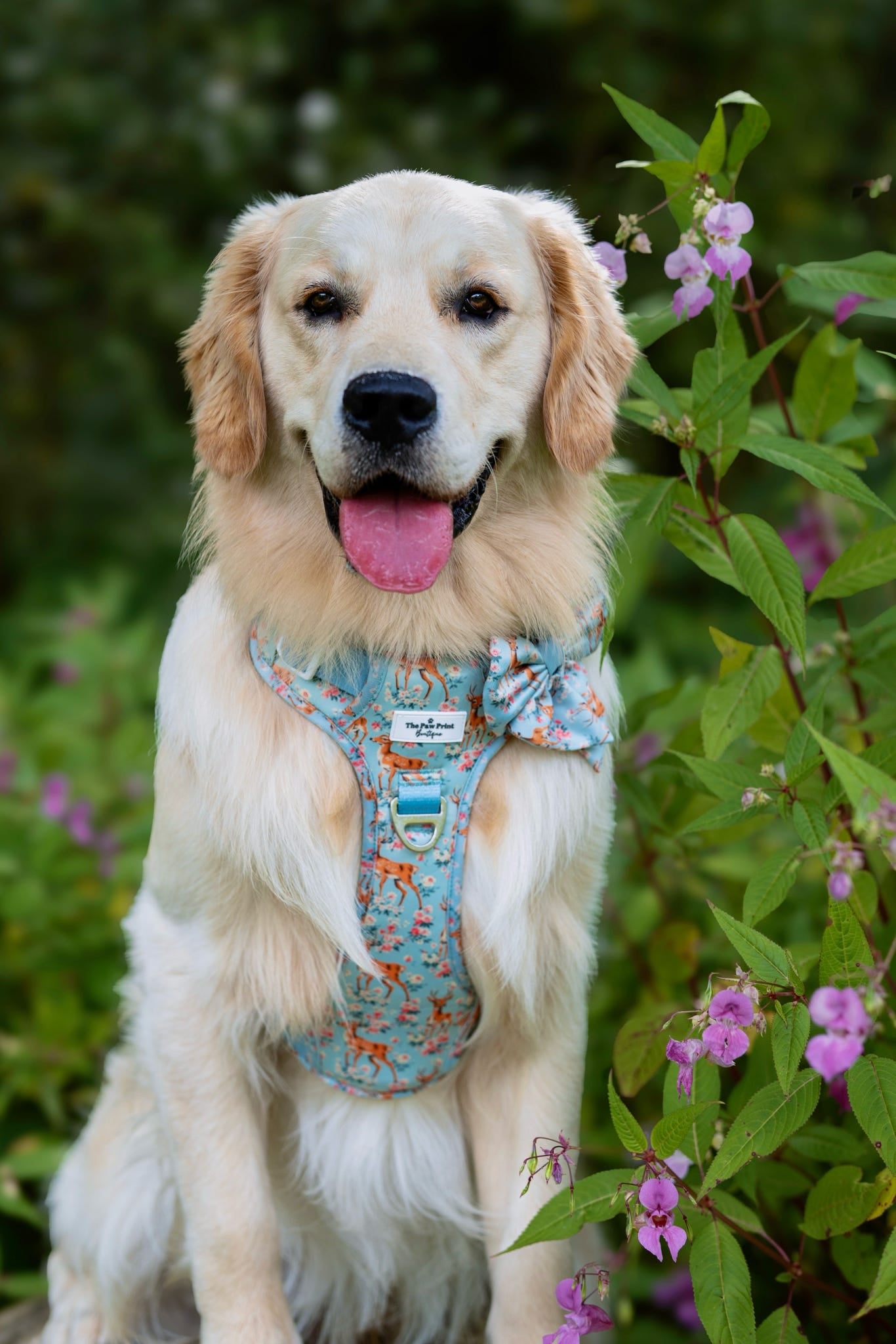 Bambi in Bloom Bow Tie