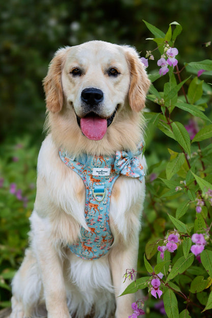 Bambi in Bloom Bow Tie