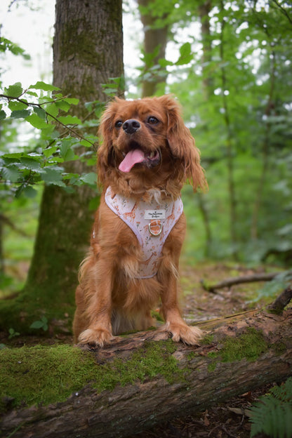The Graceful Giraffe Adjustable Harness