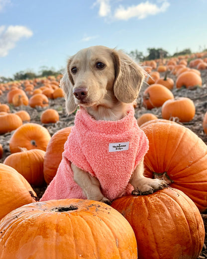 Teddy Fleece - Peach