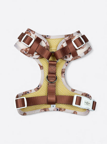 The Little Bear Cub Adjustable Harness