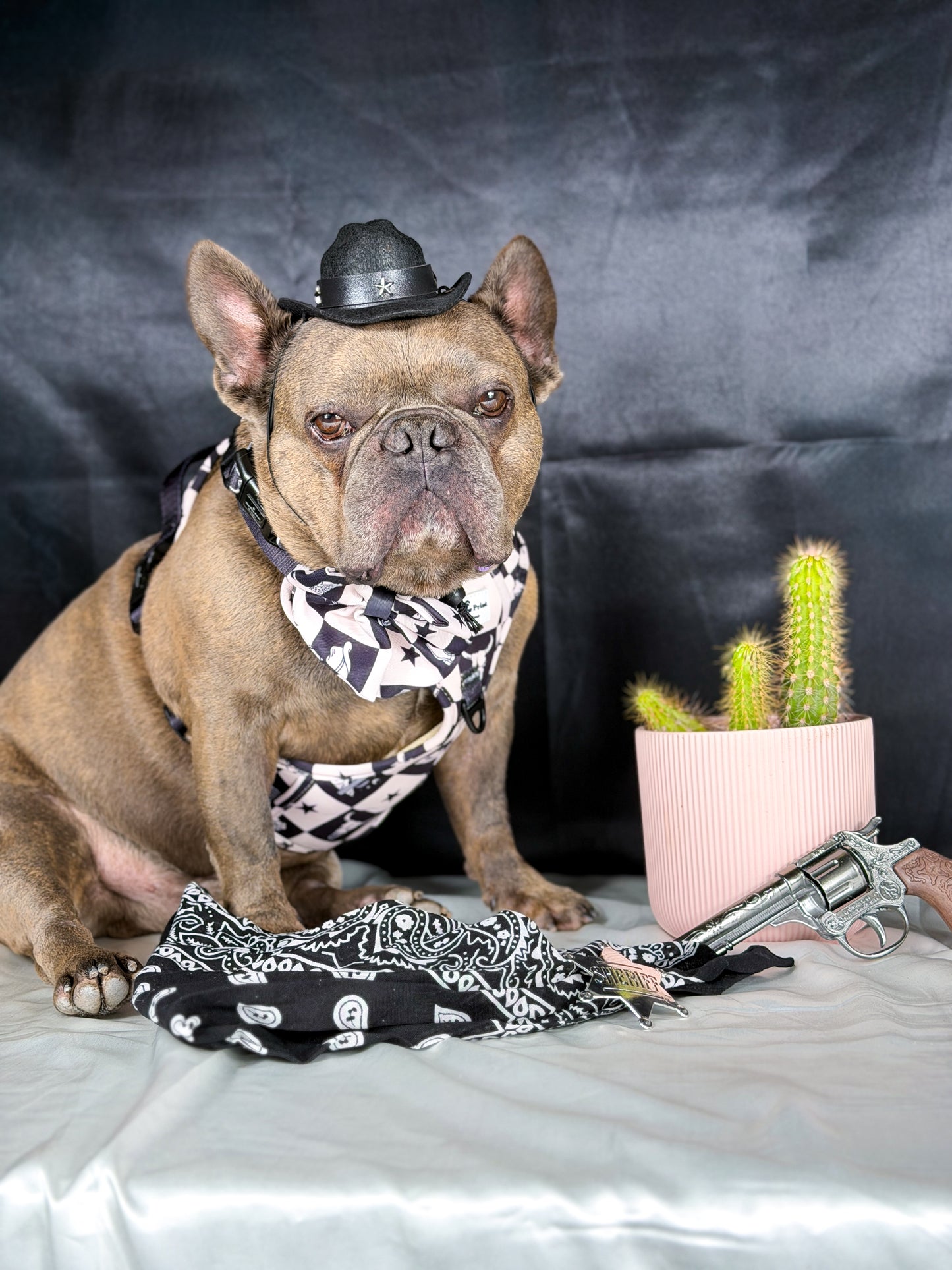 The Wild West Bow Tie