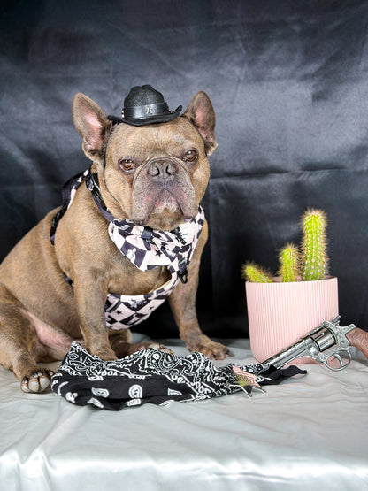 The Wild West Bow Tie
