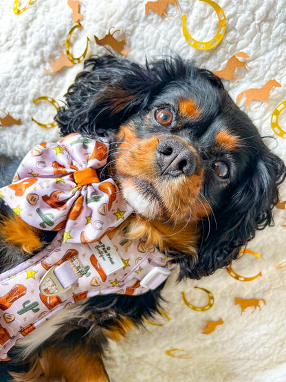The Howdy Pawtner Bow Tie